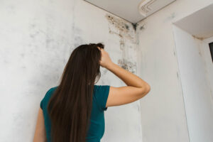 Read more about the article What Happens if You Paint Over the Mold?